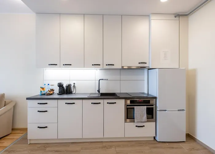 Apartament Vincent Sunlight - Near Clinic, Arena And Stadium Kowno