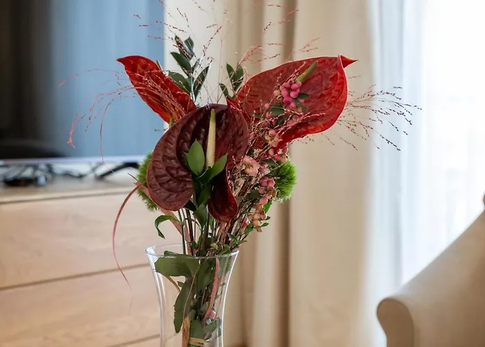 Vincent Sunlight - Near Clinic, Arena And Stadium *